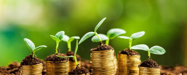 Solutions de financement responsable