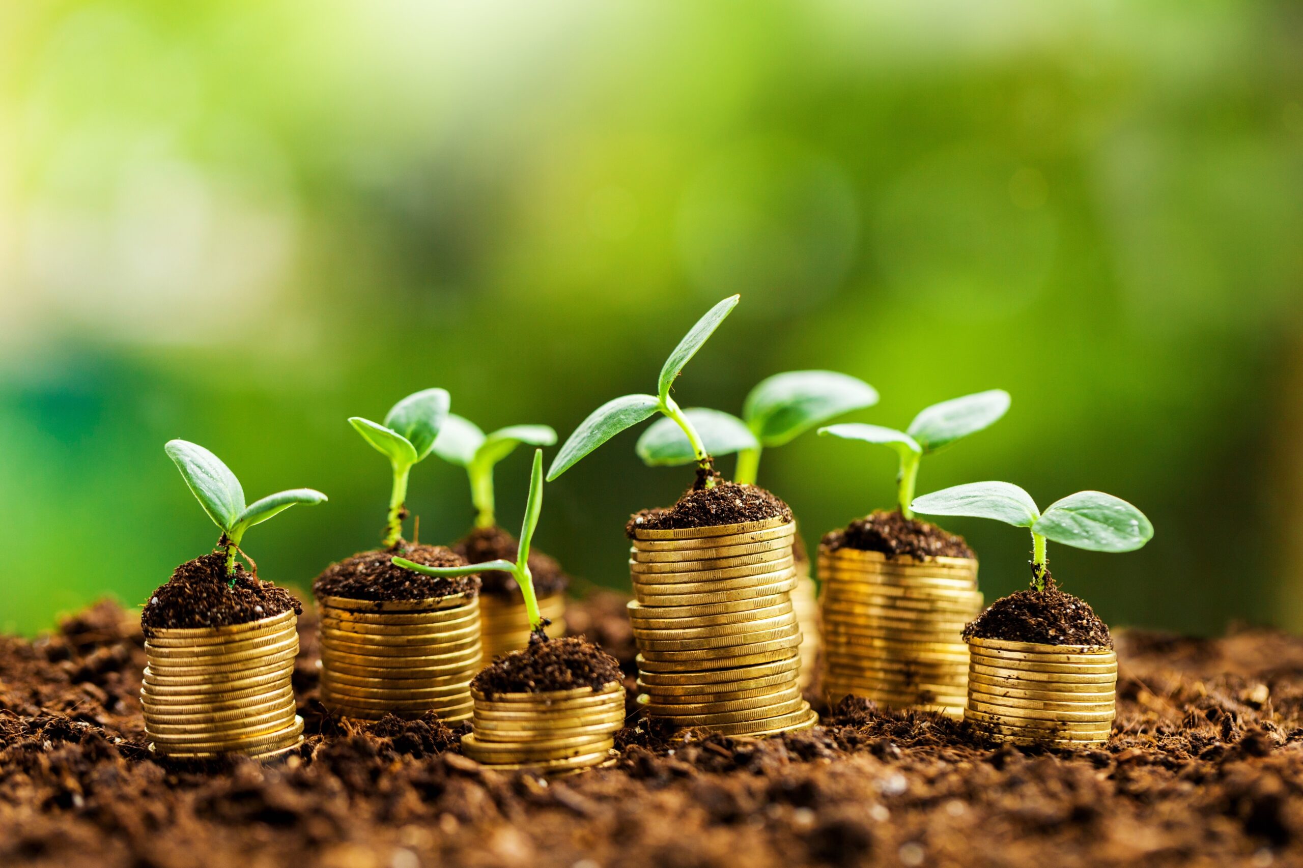 Solutions de financement responsable